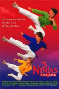Download 3 Ninjas Kick Back (1994) {English With Subtitles} 480p [400MB] || 720p [900MB]