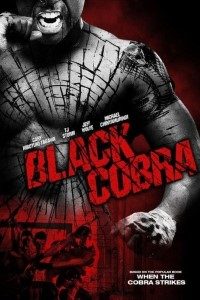 Download Black Cobra (2012) Dual Audio (Hindi-English) 480p [300MB] || 720p [800MB]