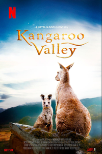 Download Kangaroo Valley (2022) Dual Audio {Hindi-English} WEB-DL ESubs 480p [250MB] || 720p [700MB] || 1080p [1.6GB]
