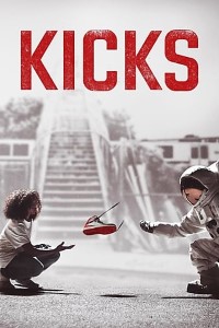 Download Kicks (2016) Dual Audio {Hindi-English} 480p [300MB] || 720p [850B]