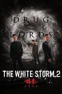 Download The White Storm 2: Drug Lords (2019) Dual Audio (Hindi-Chinese) 480p [300MB] || 720p [1GB] || 1080p [2GB]